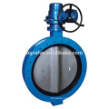 BG310B Series U Type Butterfly Valve